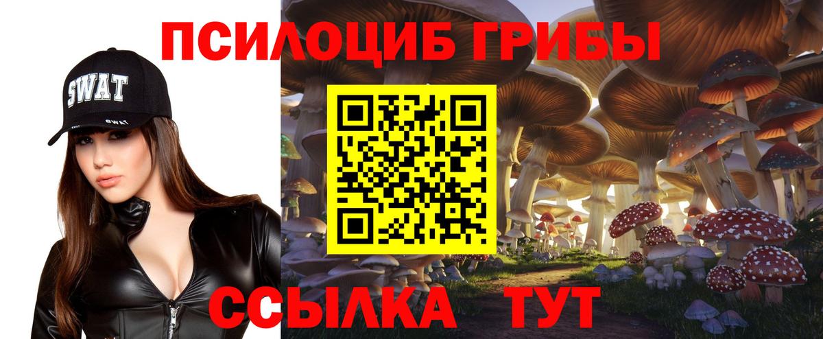 Псилоцибиновые грибы MAGIC MUSHROOMS Скопин