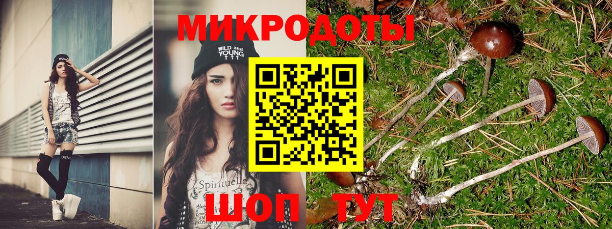 Псилоцибиновые грибы мухоморы  Галлюциногенные грибы Psilocybine cubensis  Скопин  Вход с VPN 